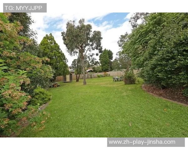 澳门金沙 3178-澳门金沙，探索3178的魅力与传奇-澳门金沙 3178